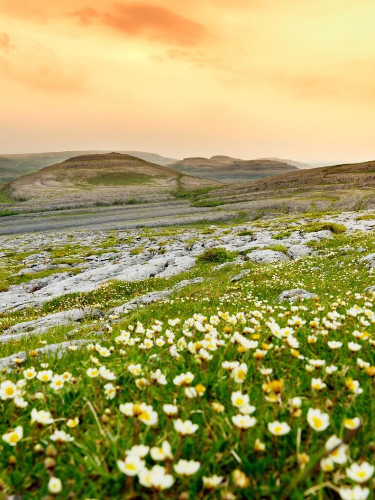 The Burren & Cliffs Of Moher UNESCO Global Geopark | Burren Hotels